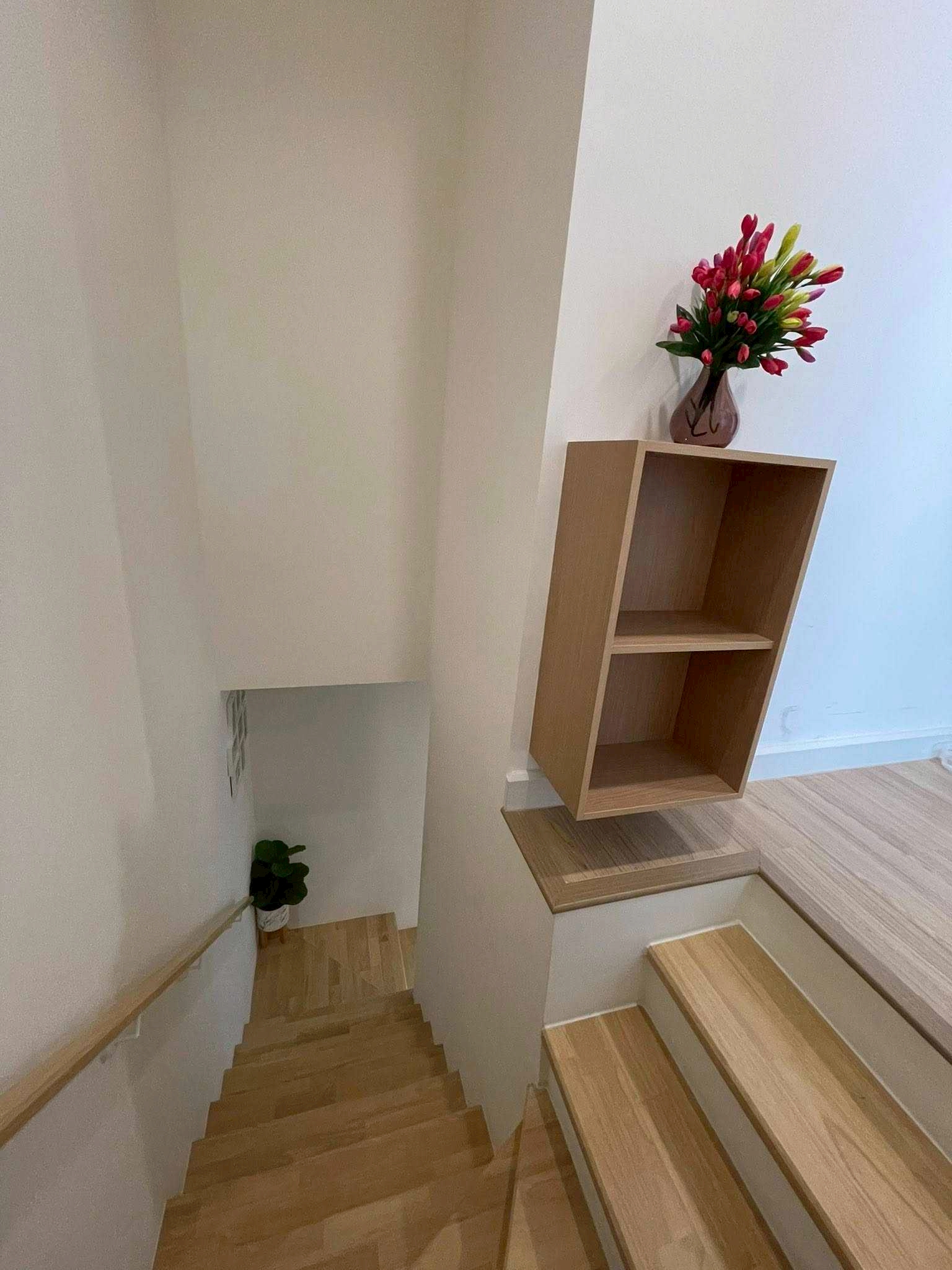 518385960_24922401394034242_1642585304119522258_n