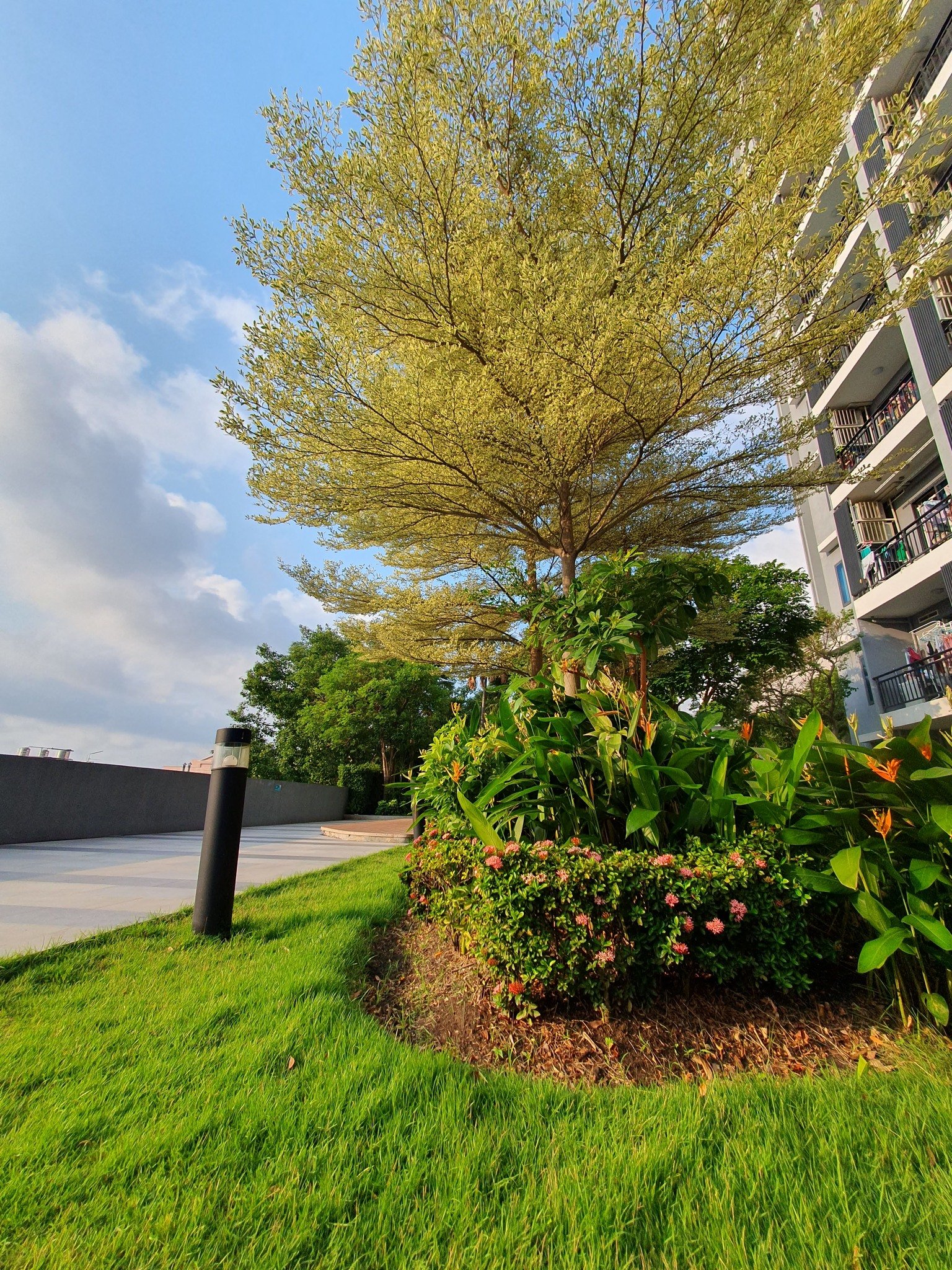 487541137_9183873248406849_6073001428115152235_n